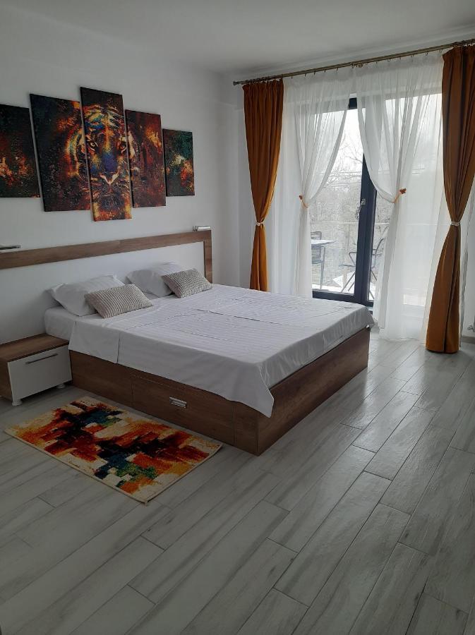 Beach Residence 10 Metri Pana La Plaja Năvodari 외부 사진